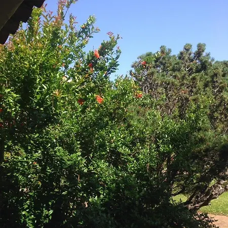 Il Melograno Villaggio Gallura *